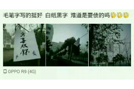 濮阳遇到恶意拖欠？专业追讨公司帮您解决烦恼